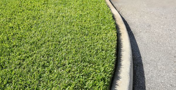 Cost of Street Curb Repair in Columbia