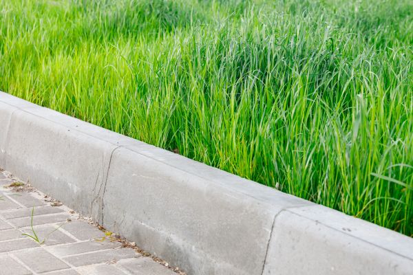 Cost of Concrete Curb Repair in Columbia