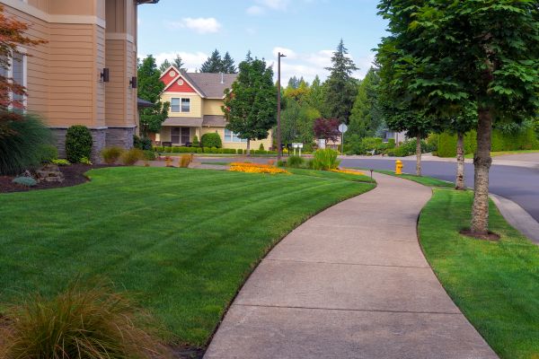 Cost of Sidewalk Patching in Columbia